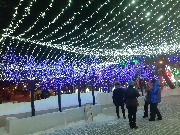 Волшебный лес в центре Хабаровска
